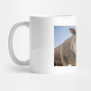 Peeping Sheep Mug